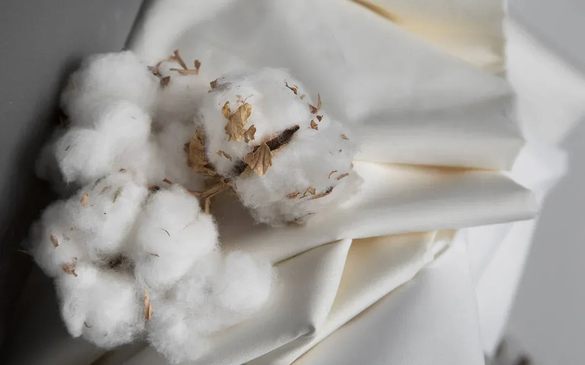 Cotton: More Than Just a Fabric – A Story of Comfort, Culture, and Care